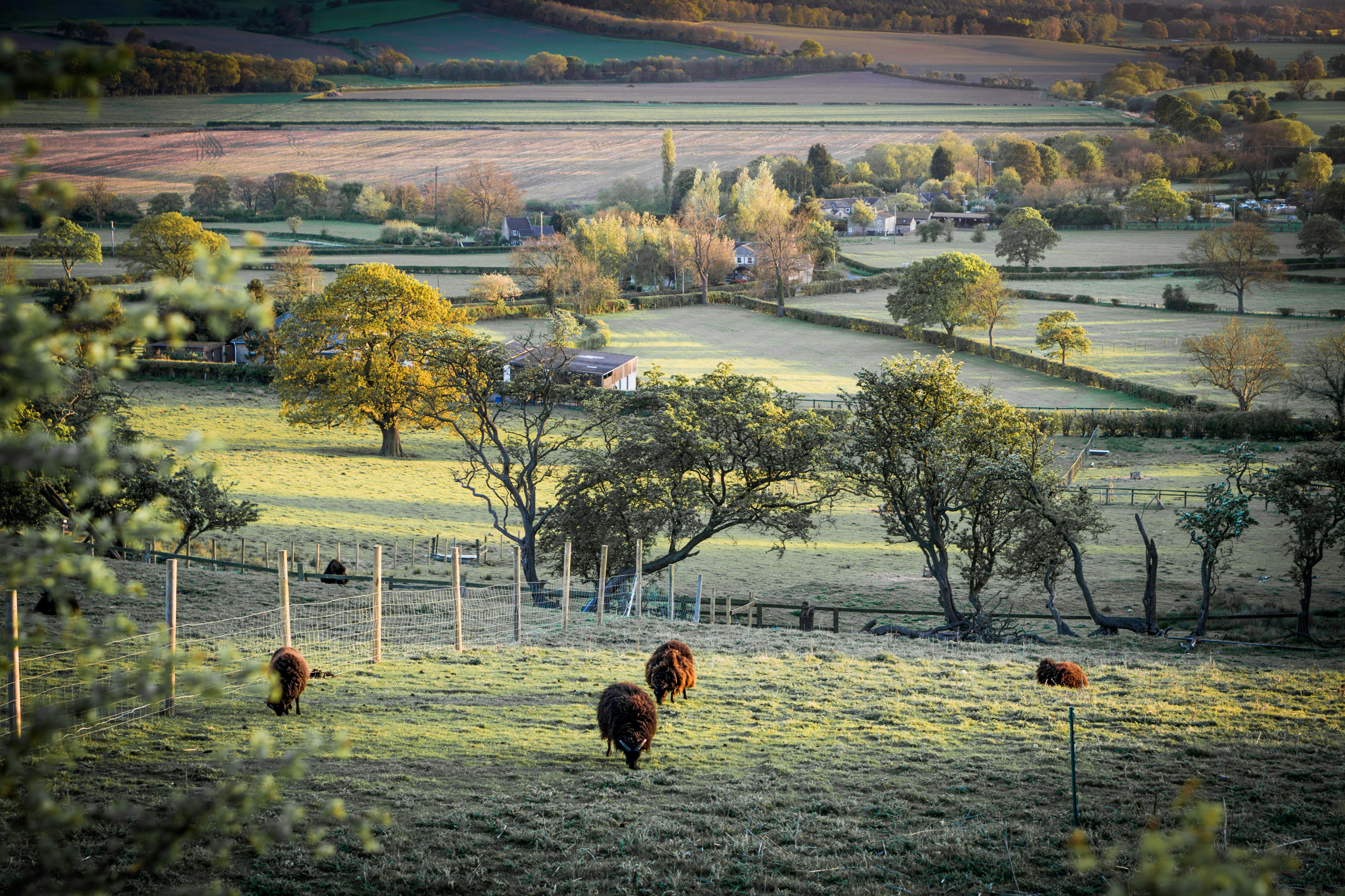 Yorkshire Landscape